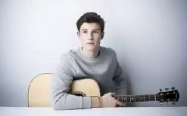Instrumental: Shawn Mendes - Show You